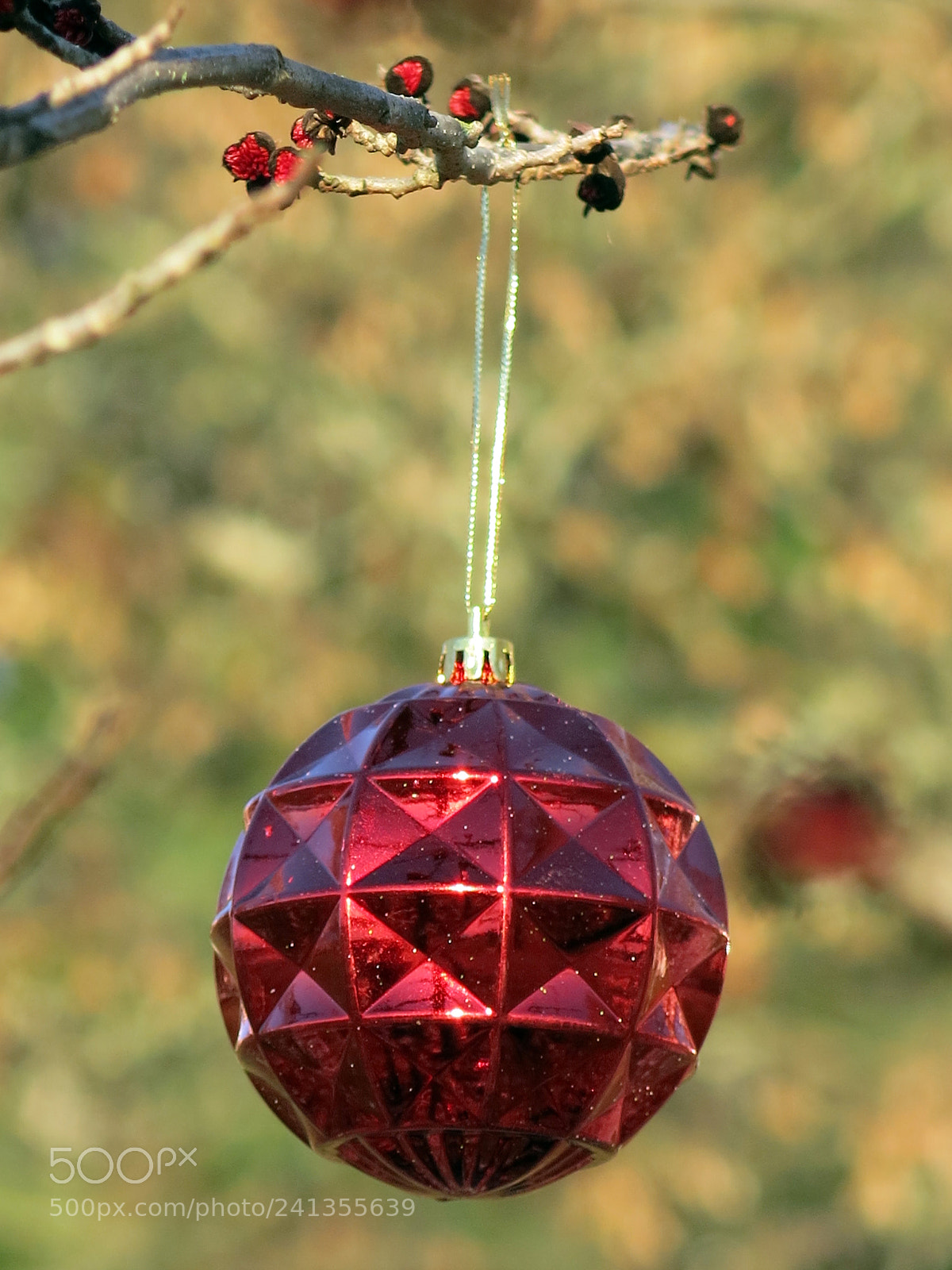 Canon PowerShot G15 sample photo. Img 1625-0.jpg christmas ball photography