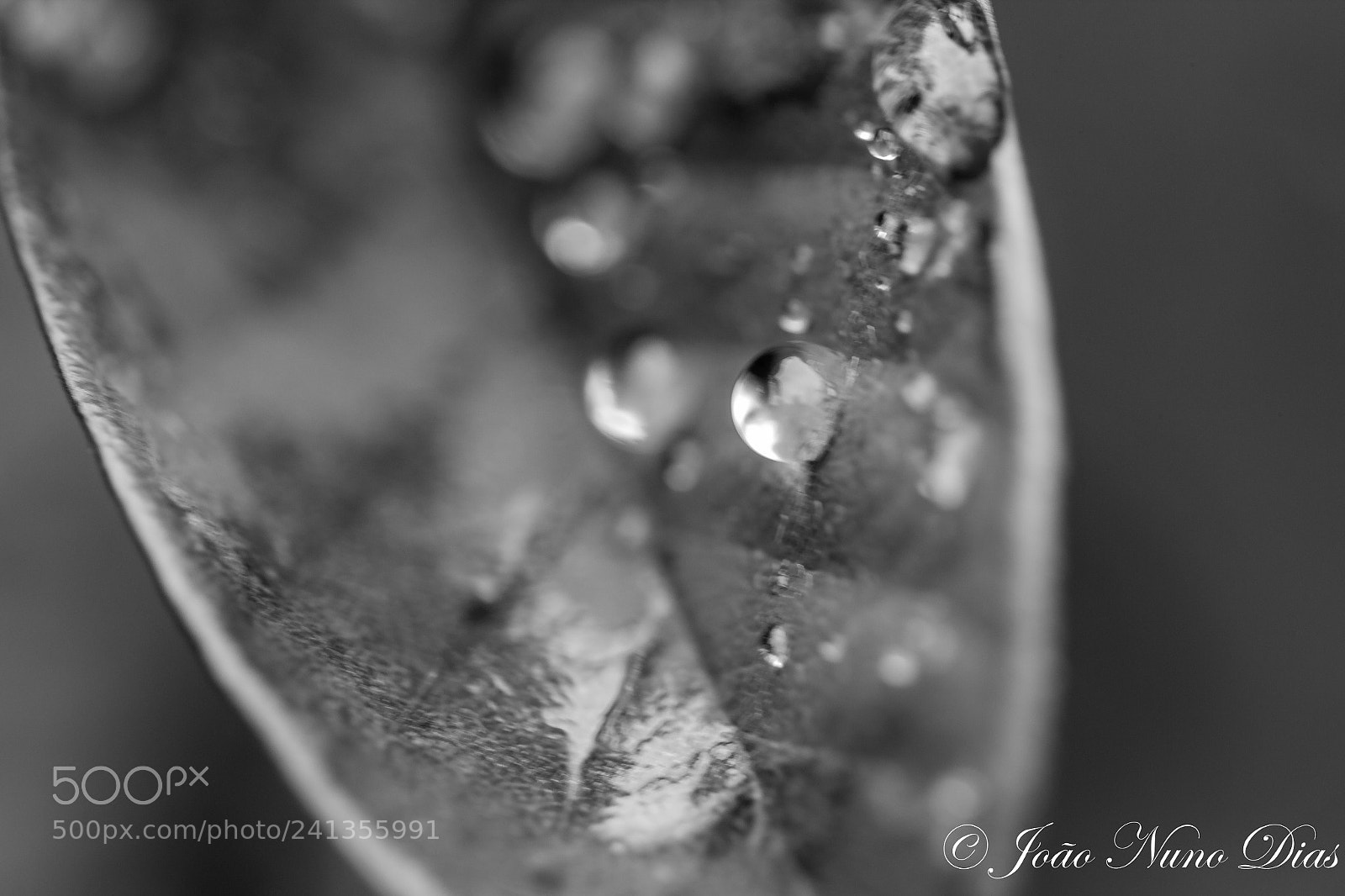 Canon EOS 60D sample photo. Water drop photography