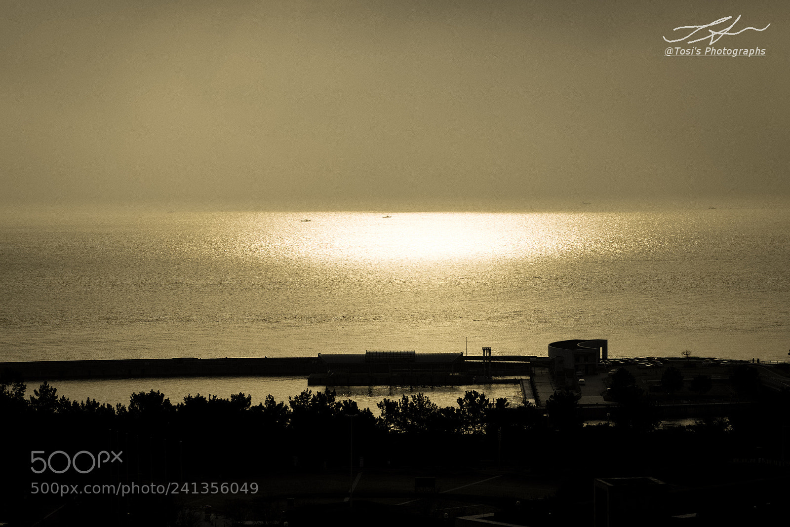 Nikon D810 sample photo. Sea of light photography