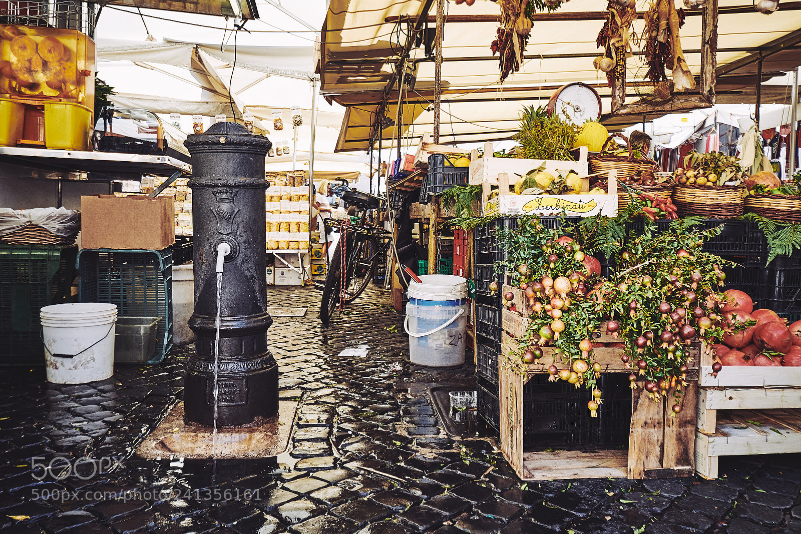 Fujifilm X-T1 sample photo. Nasone al campo photography