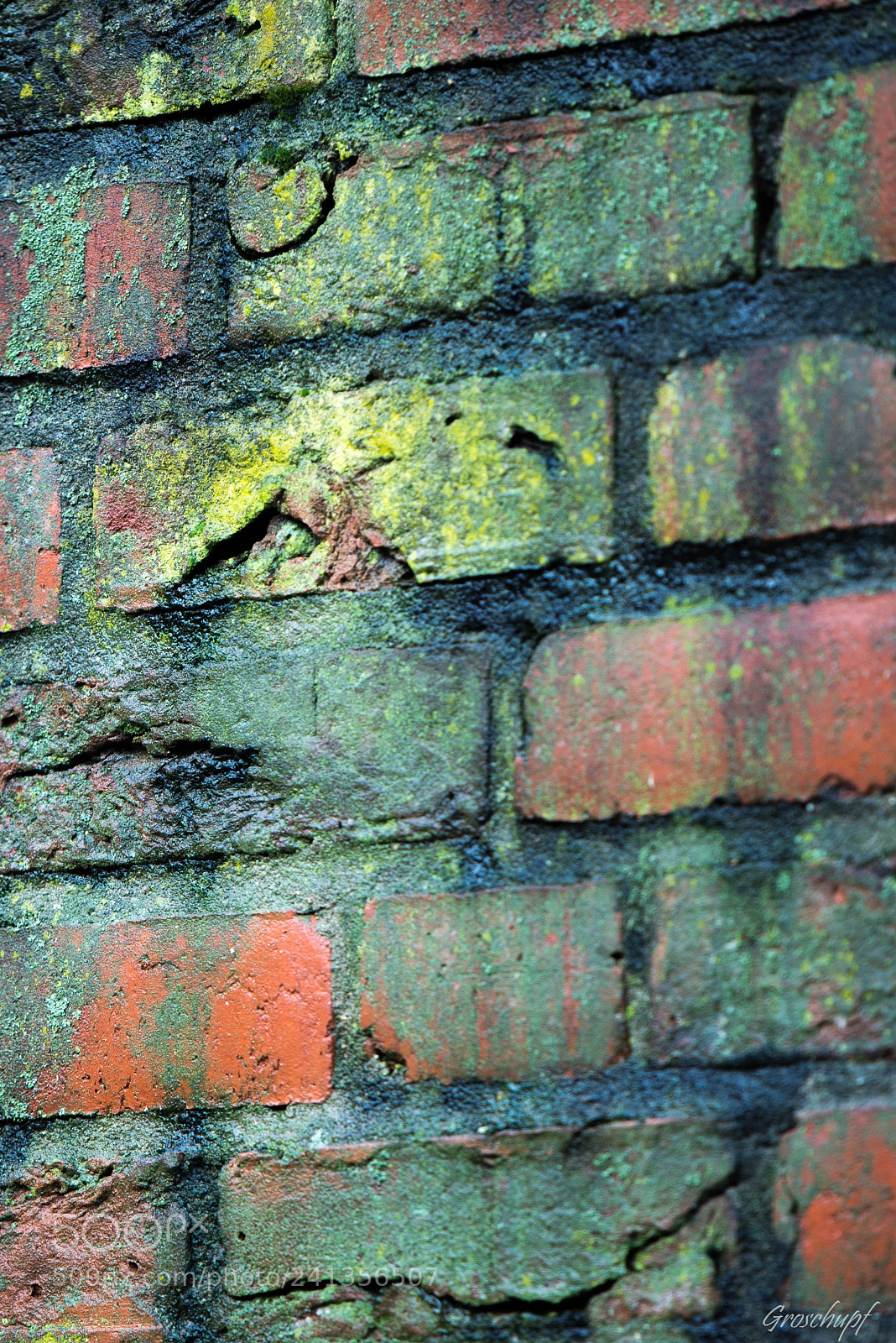 Nikon D600 sample photo. Brick photography