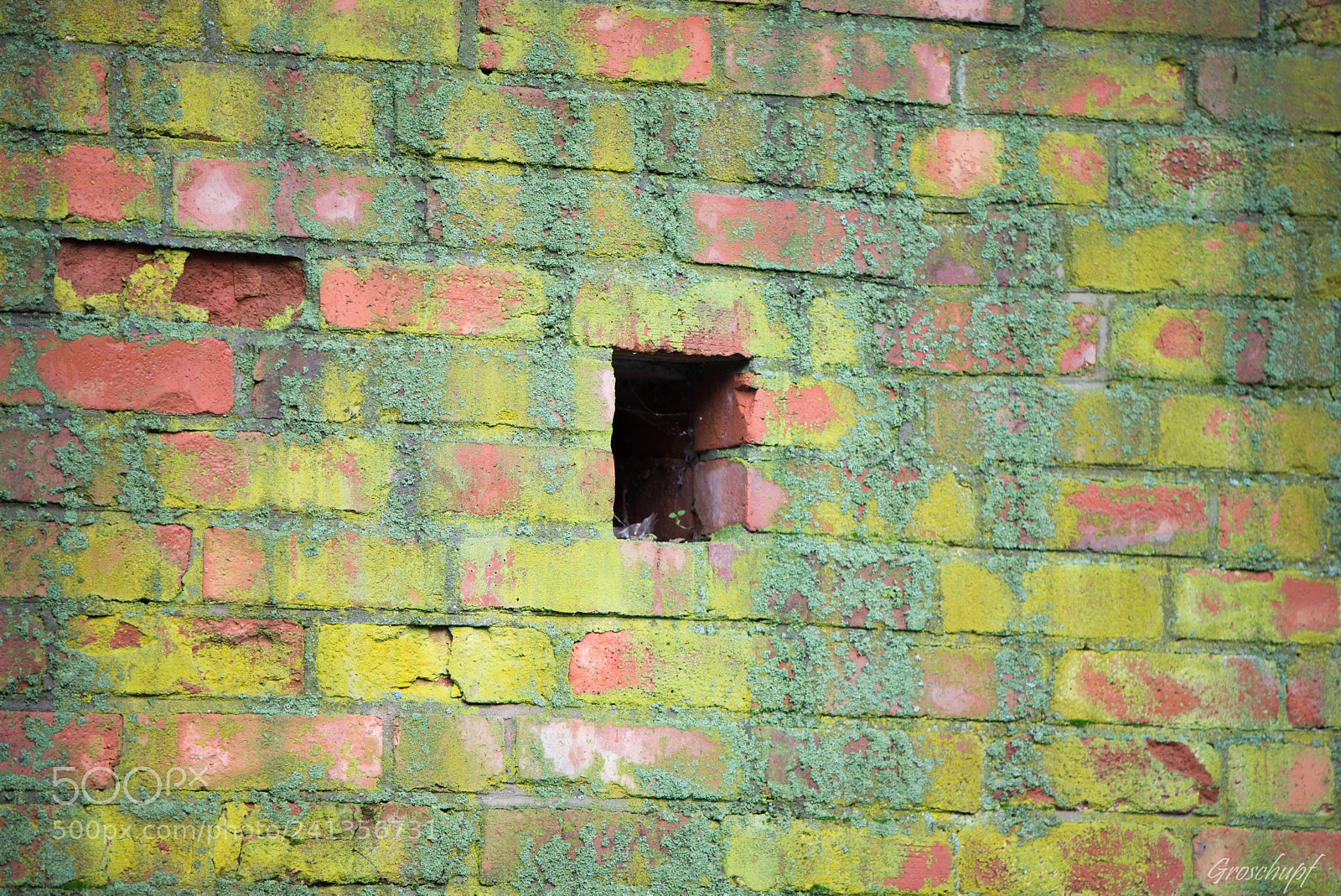 Nikon D600 sample photo. Brick ii photography