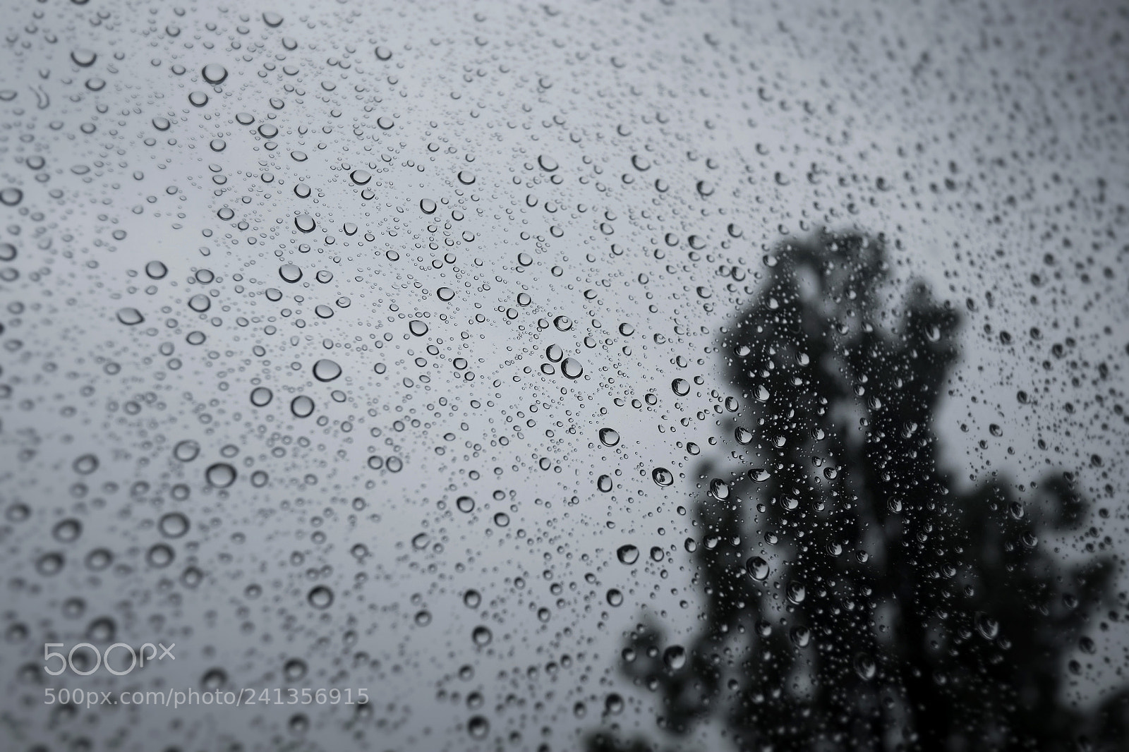 Fujifilm X-E1 sample photo. Rainy photography