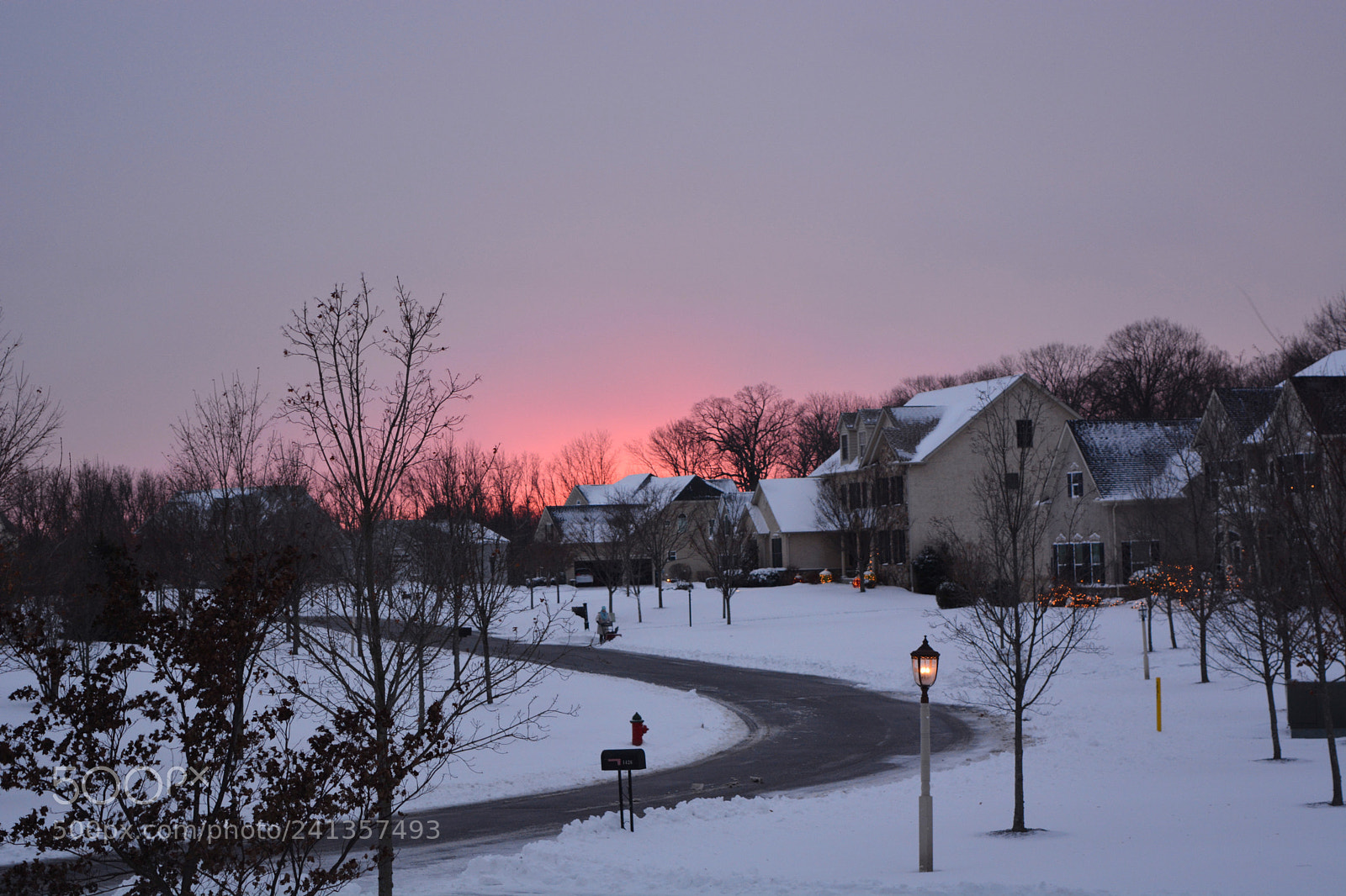 Nikon D7100 sample photo. Untitled photography
