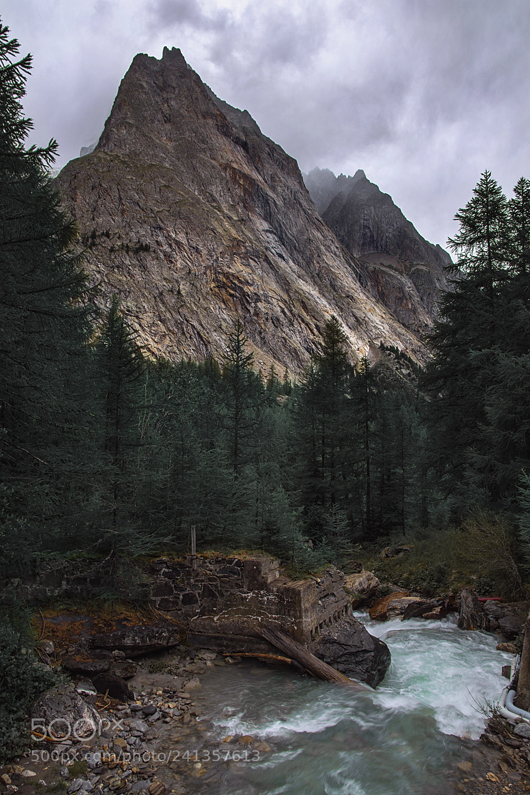 Nikon D7200 sample photo. Silent giants photography