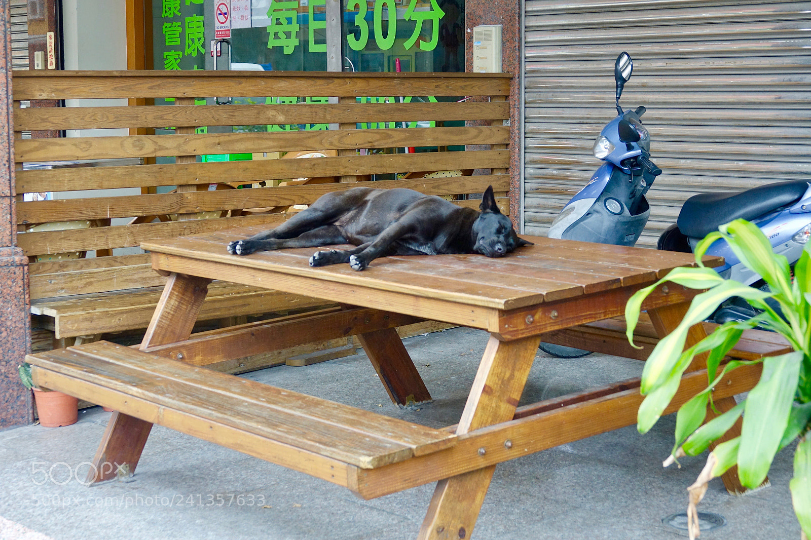 Sony Cyber-shot DSC-RX10 III sample photo. Untitled photography