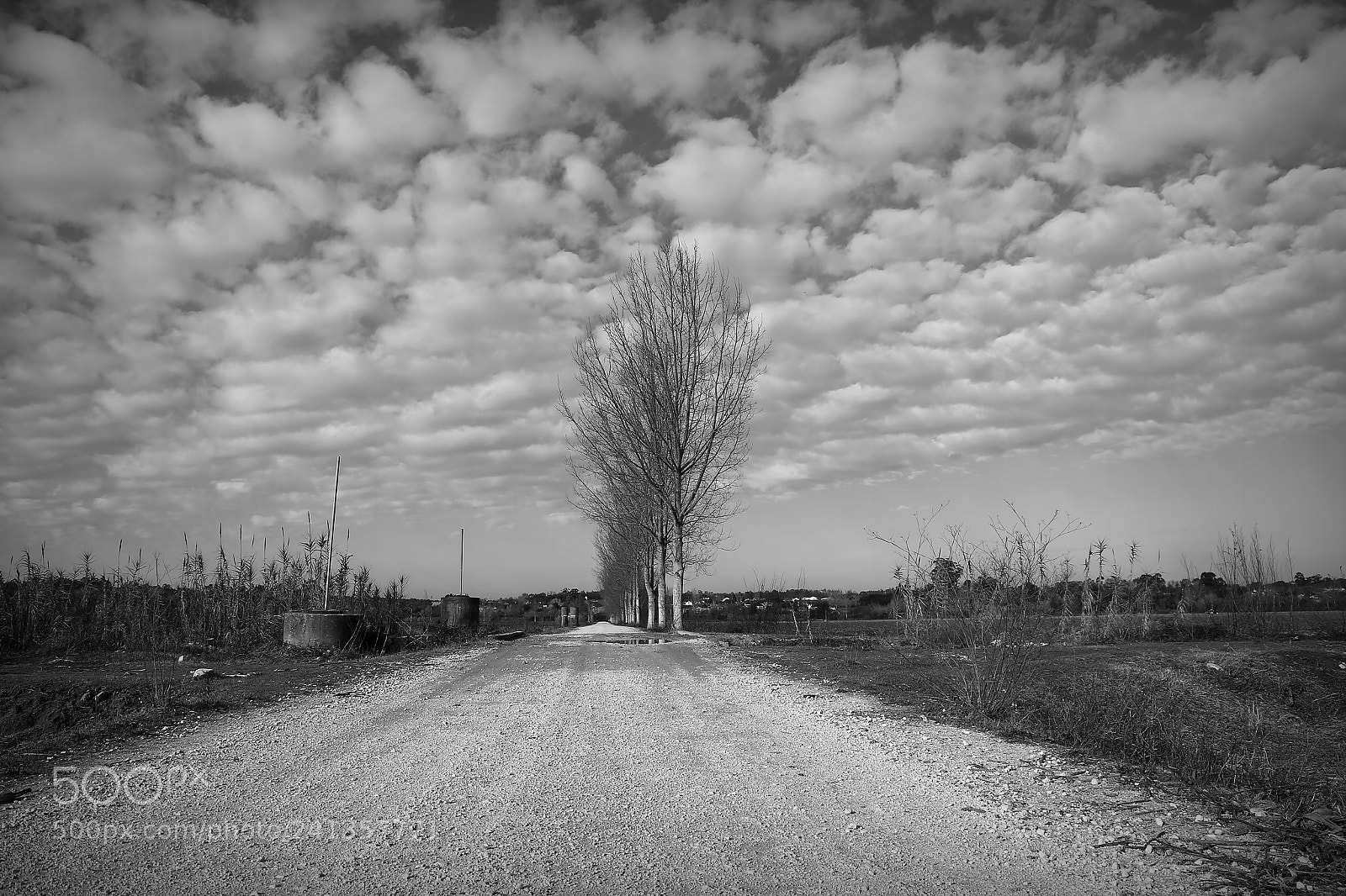 Canon EF 24-105mm F3.5-5.6 IS STM sample photo. Fields photography