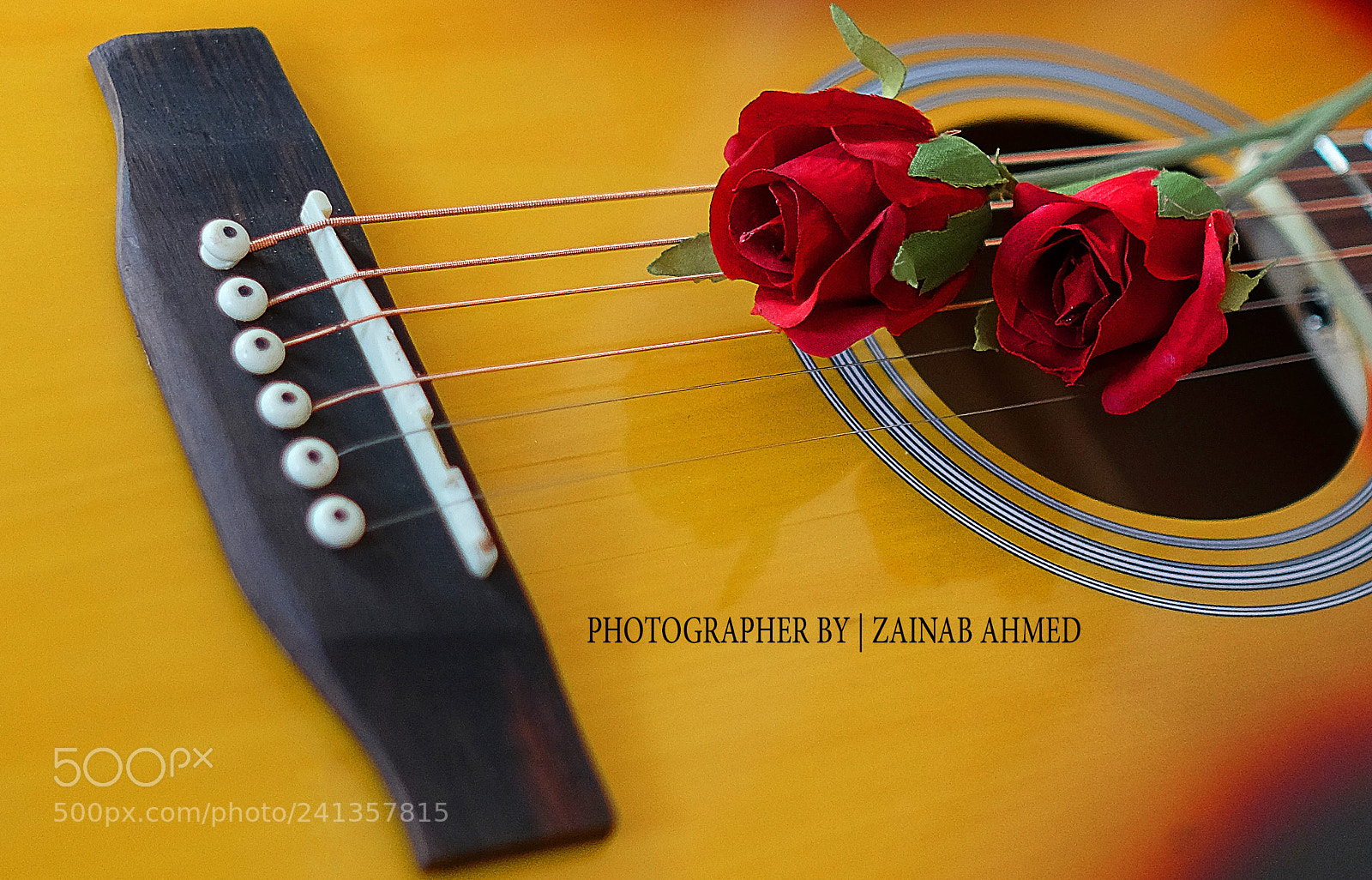 Fujifilm X-T1 sample photo. Untitled photography