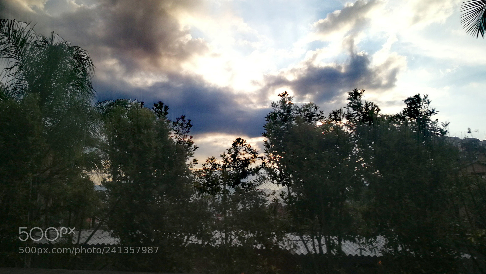 HUAWEI P10 Plus sample photo. Untitled photography