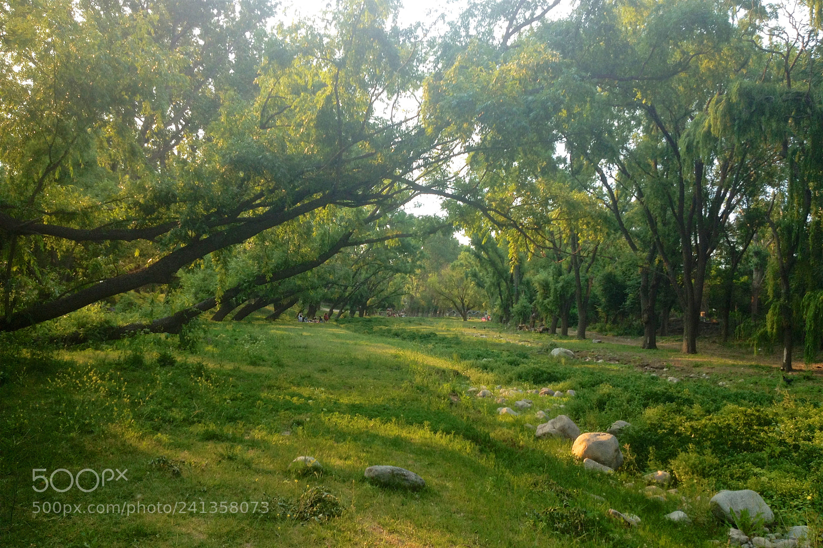 Apple iPhone 4S sample photo. Sierras de cordoba 4 photography