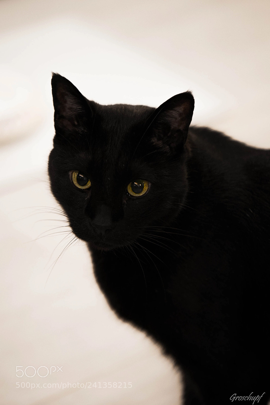 Nikon D600 sample photo. Epsilon photography
