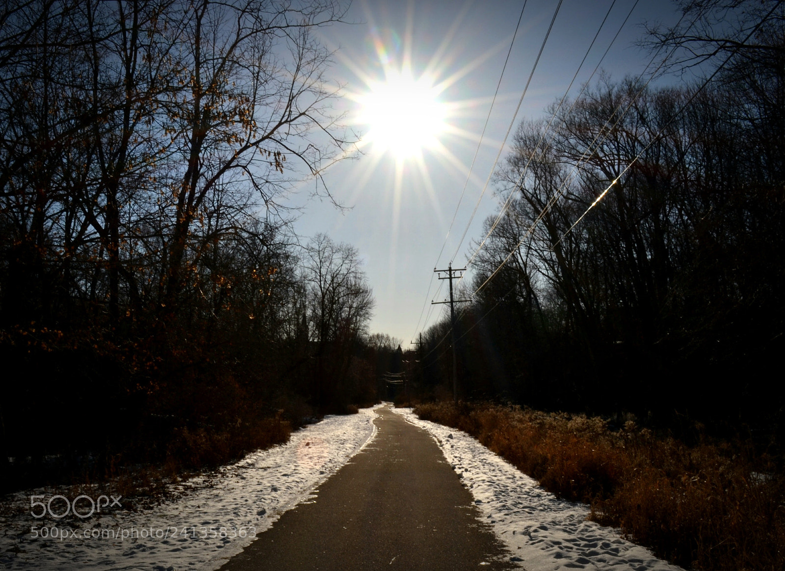 Nikon D3100 sample photo. Big, bright sun on photography