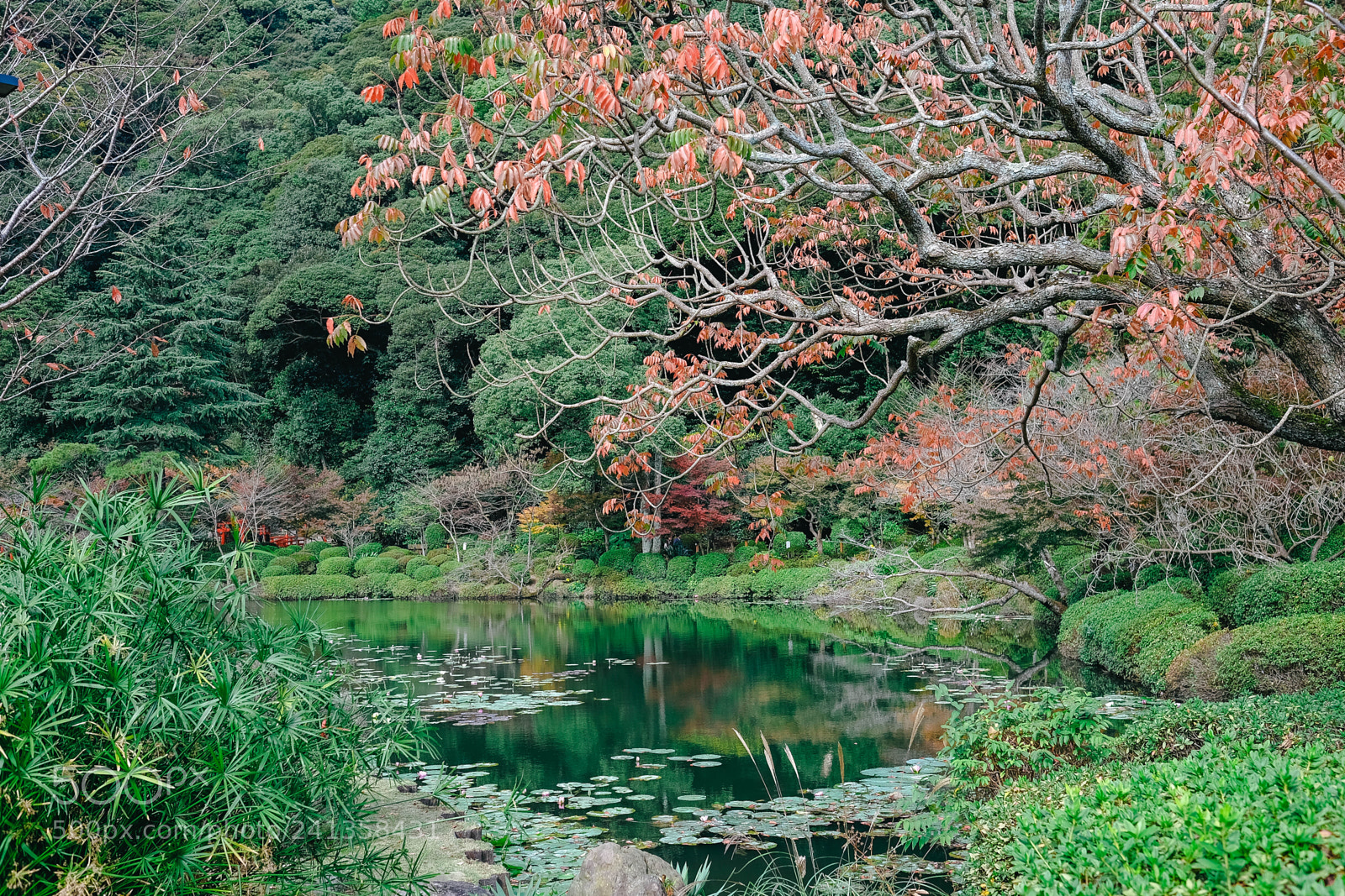 Fujifilm X-T10 sample photo. Dsf photography