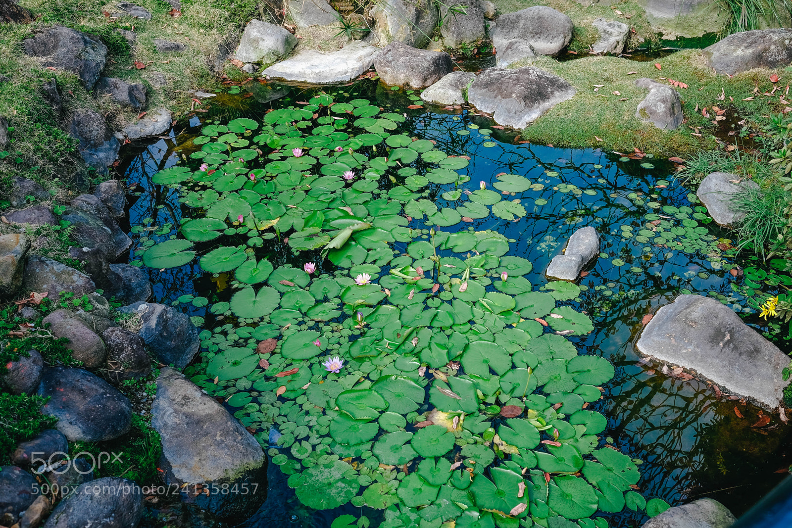 Fujifilm X-T10 sample photo. Dsf photography