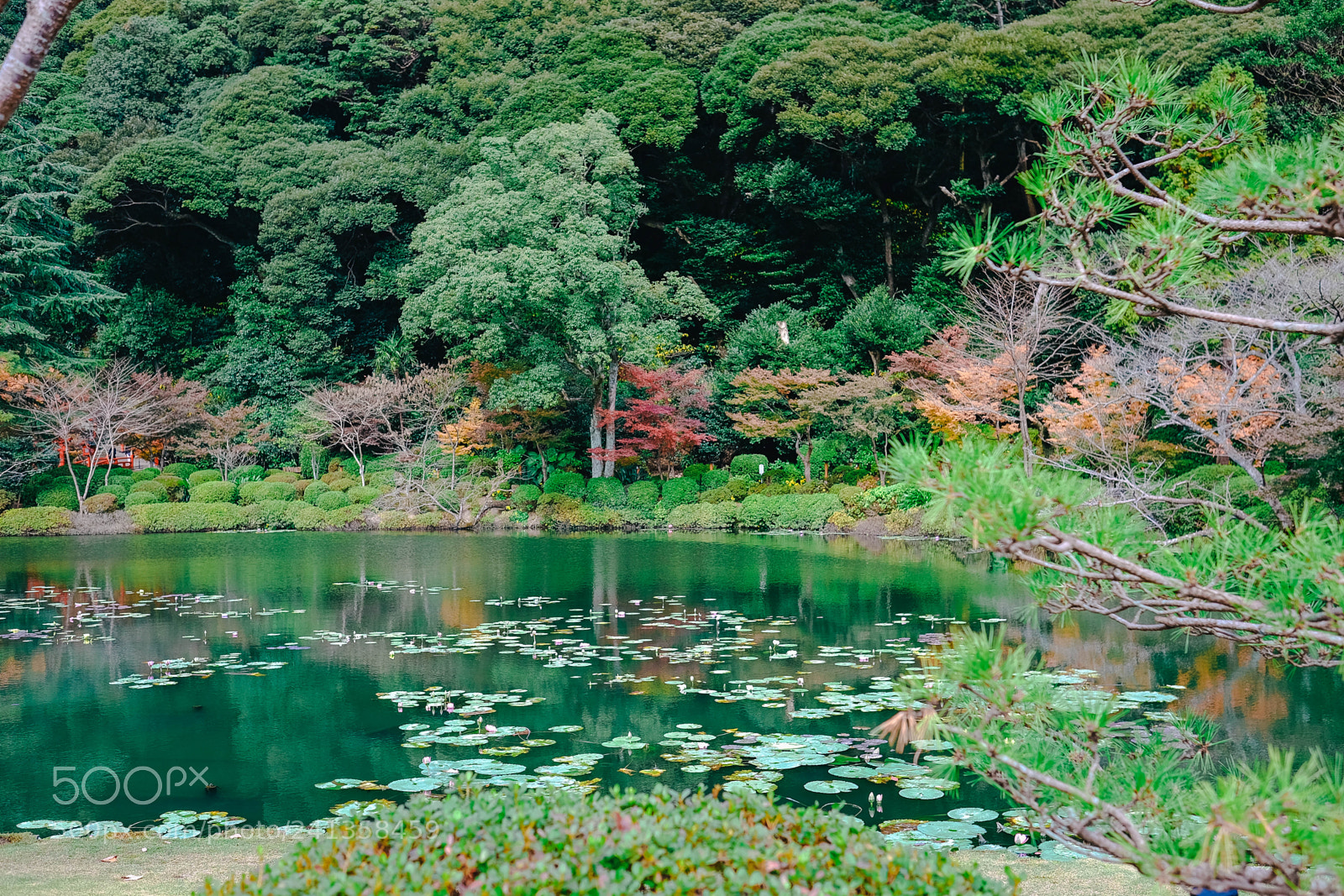 Fujifilm X-T10 sample photo. Dsf photography
