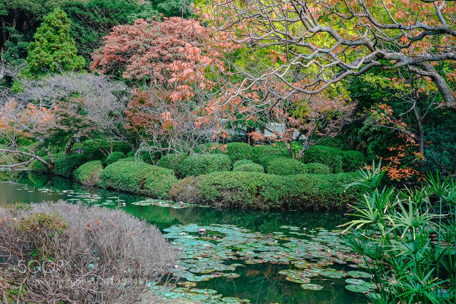 Fujifilm X-T10 sample photo. Dsf photography