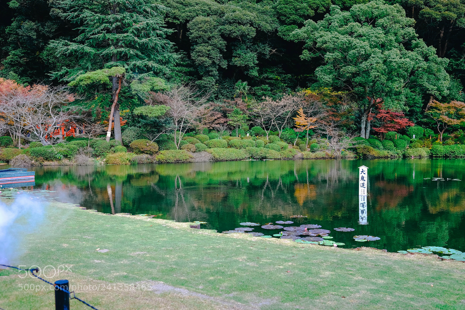 Fujifilm X-T10 sample photo. Dsf photography