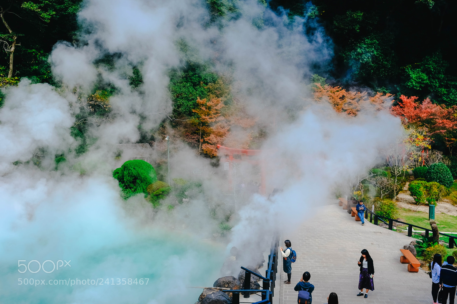 Fujifilm X-T10 sample photo. Dsf photography