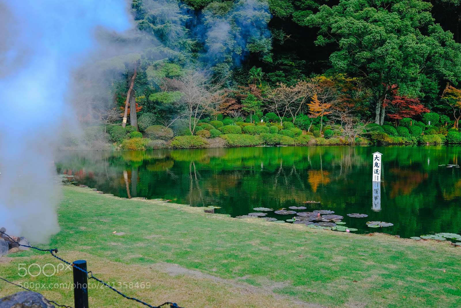 Fujifilm X-T10 sample photo. Dsf photography