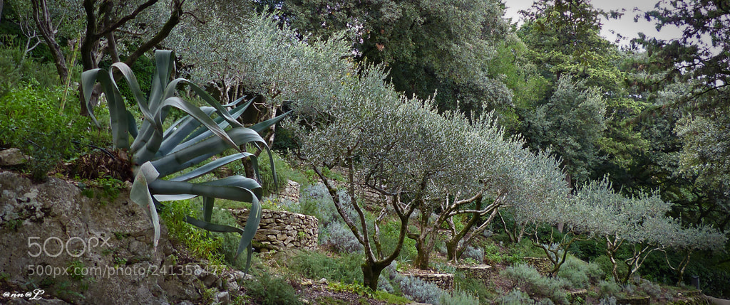 Panasonic Lumix DMC-FZ200 sample photo. Sur les hauteurs du photography