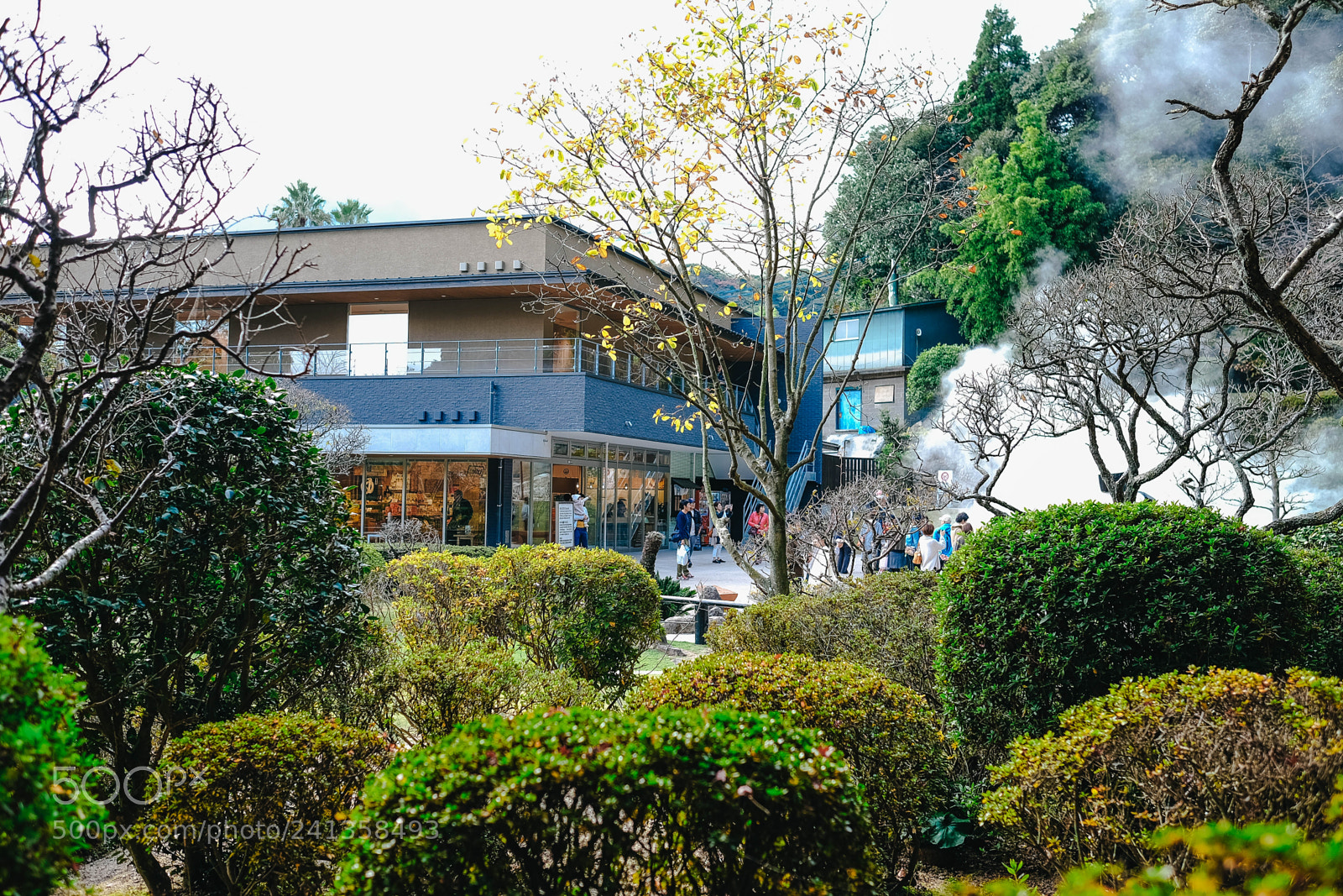 Fujifilm X-T10 sample photo. Dsf photography