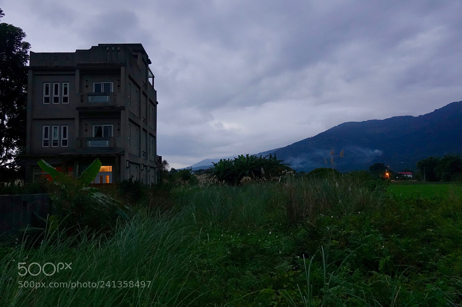 Sony Cyber-shot DSC-RX10 III sample photo. Untitled photography