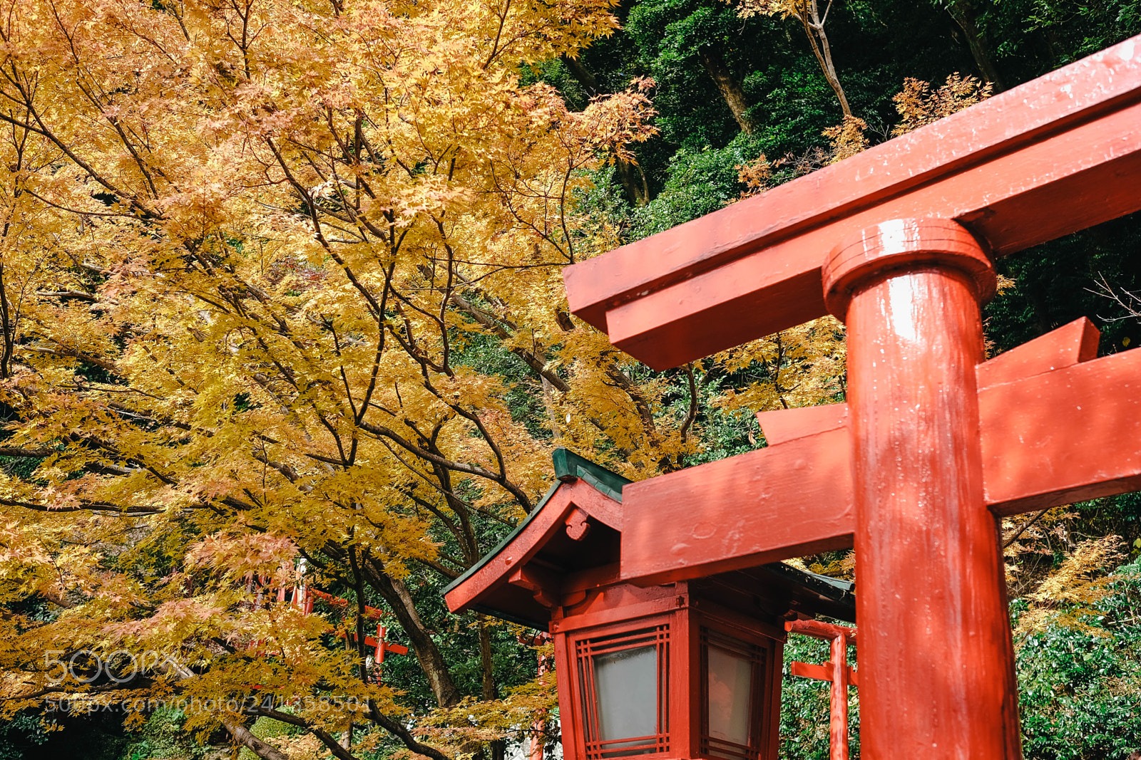 Fujifilm X-T10 sample photo. Dsf photography