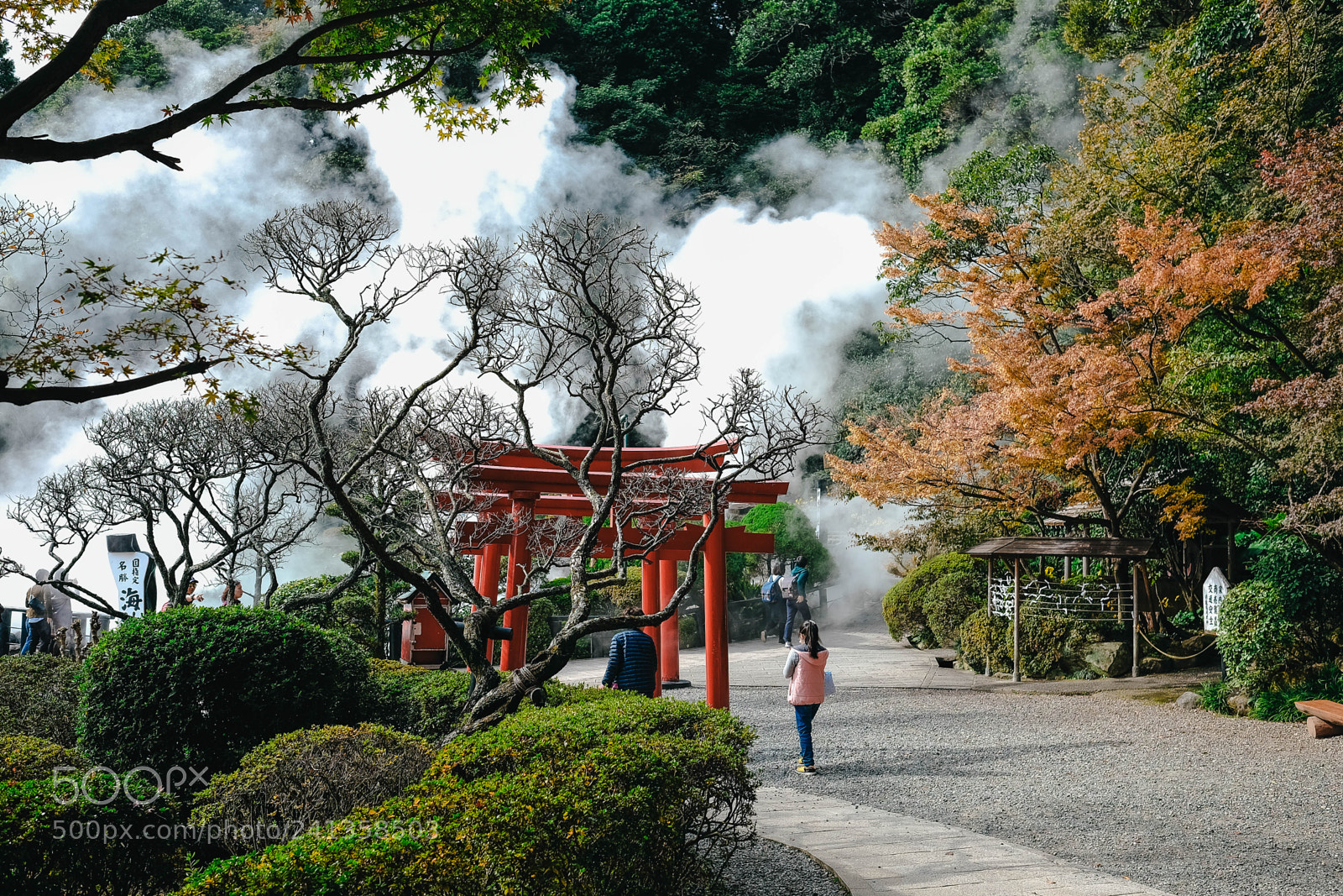 Fujifilm X-T10 sample photo. Dsf photography