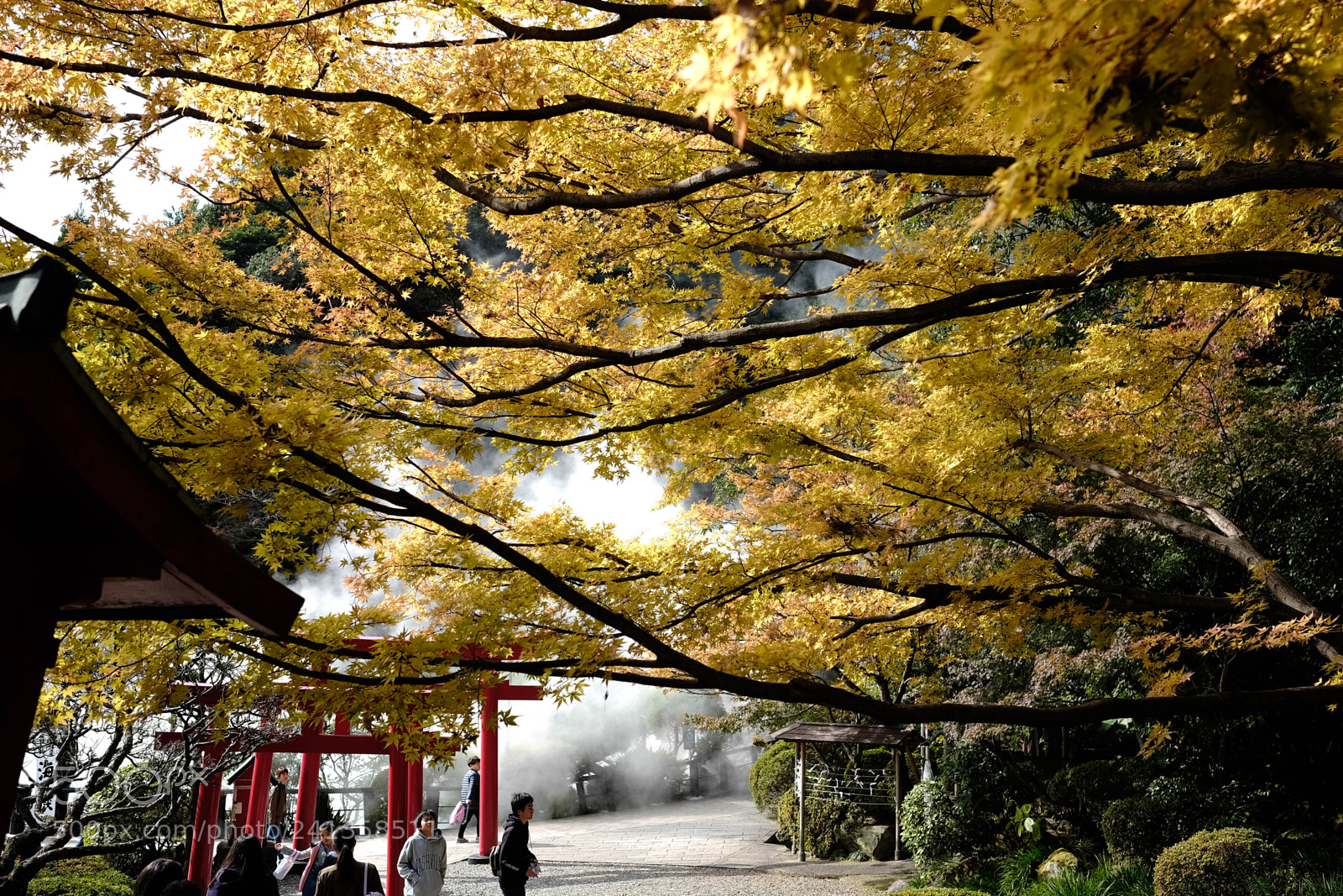 Fujifilm X-T10 sample photo. Dsf photography
