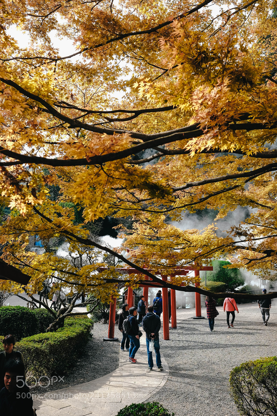 Fujifilm X-T10 sample photo. Dsf photography