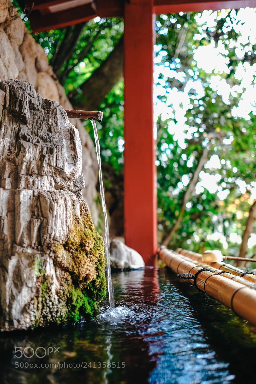 Fujifilm X-T10 sample photo. Dsf photography