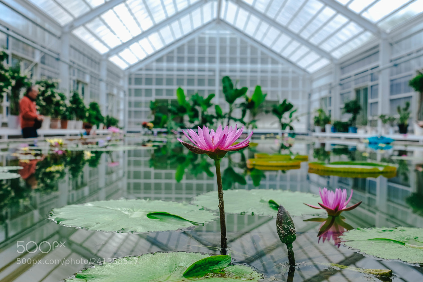 Fujifilm X-T10 sample photo. Dsf photography