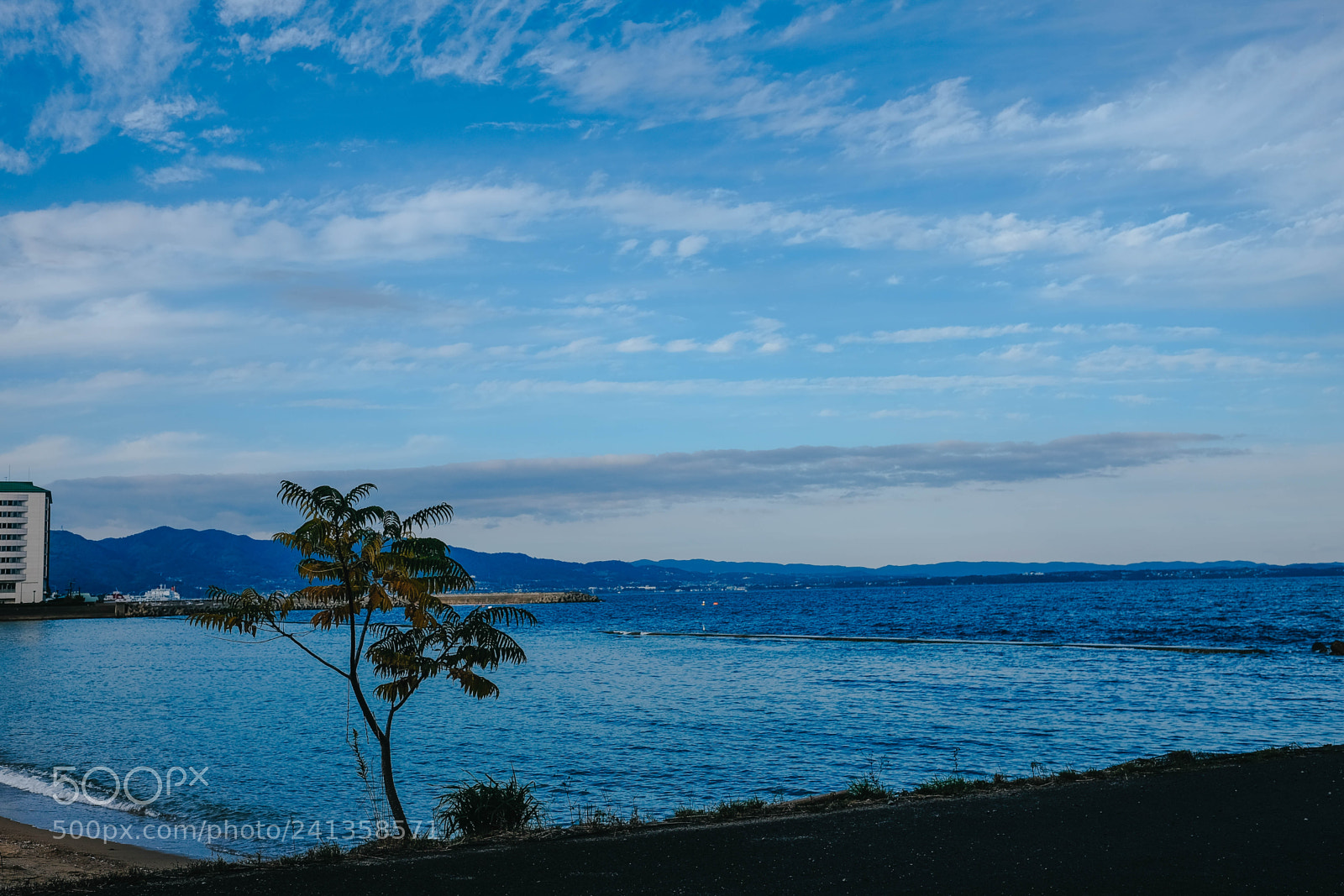 Fujifilm X-T10 sample photo. Dsf photography