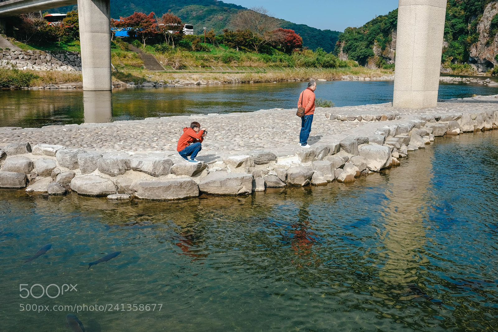 Fujifilm X-T10 sample photo. Dsf photography