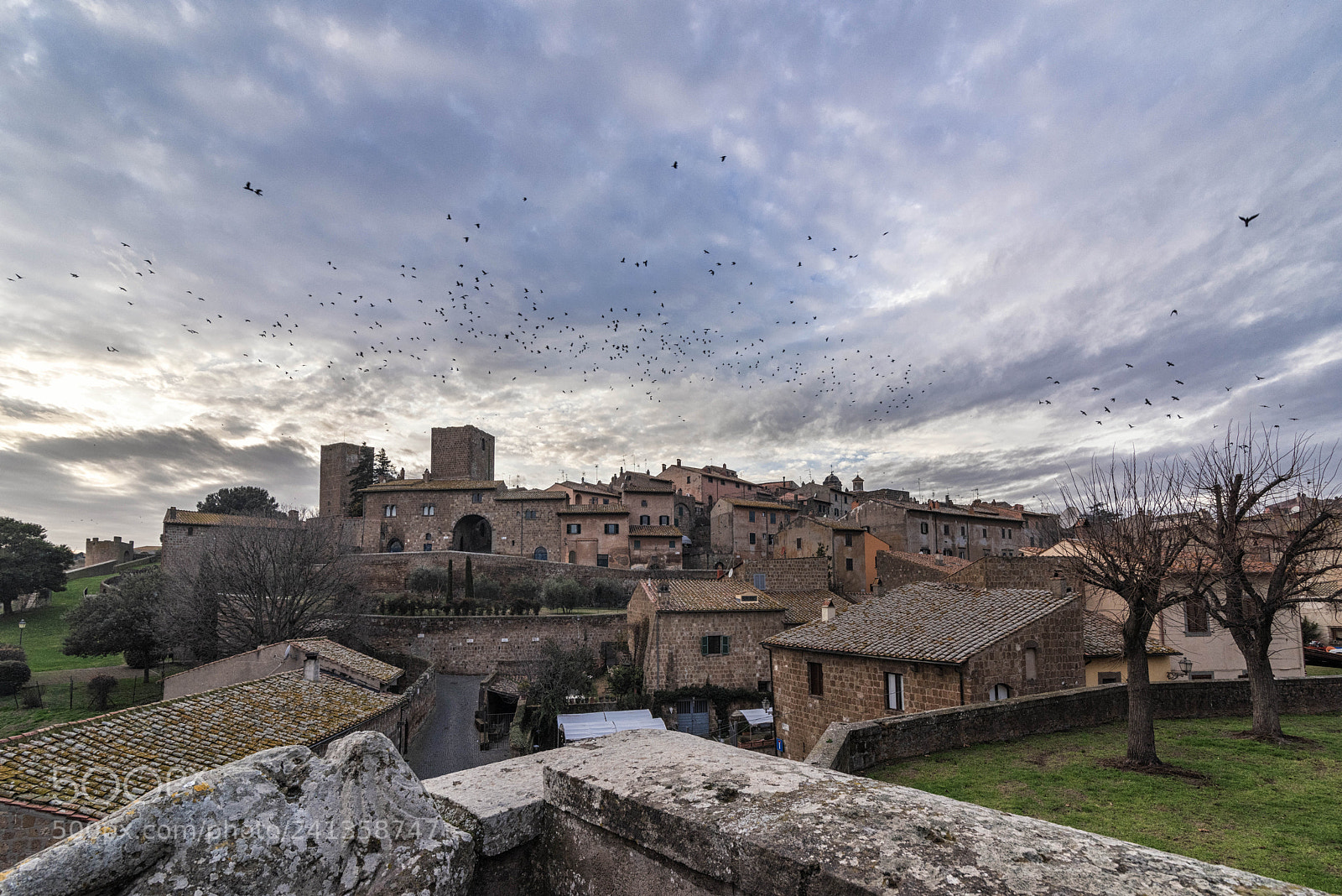 Nikon D810 sample photo. Tuscania, centro storico photography