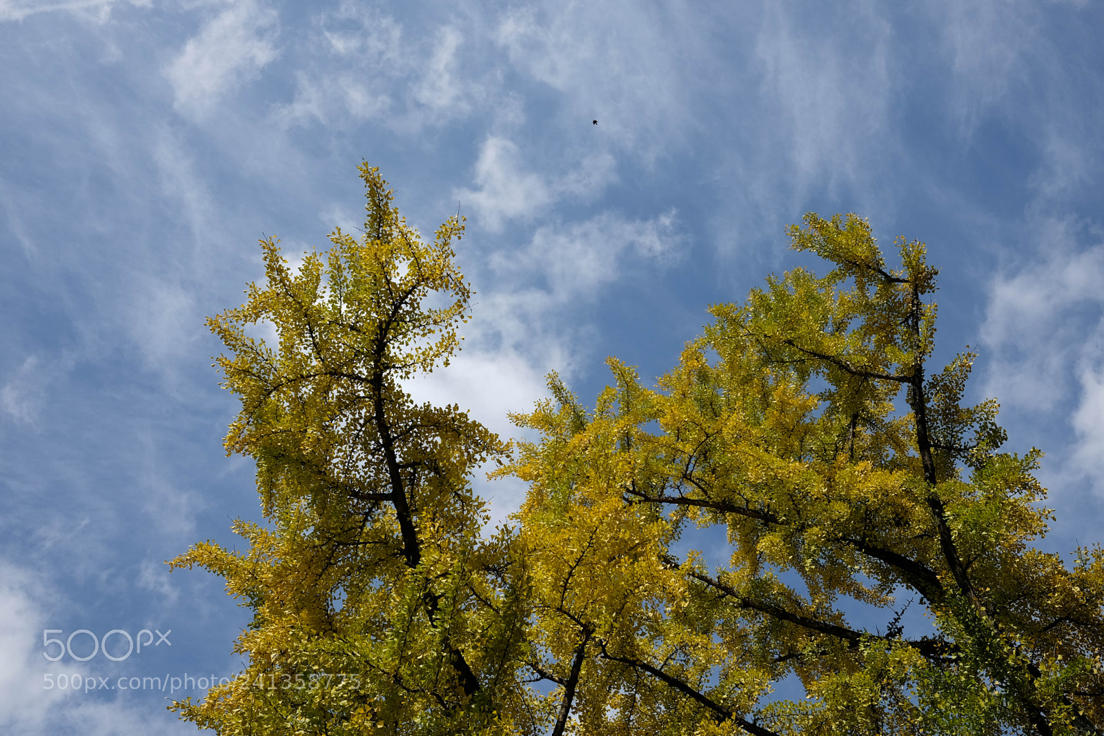 Fujifilm X-T10 sample photo. Dsf photography