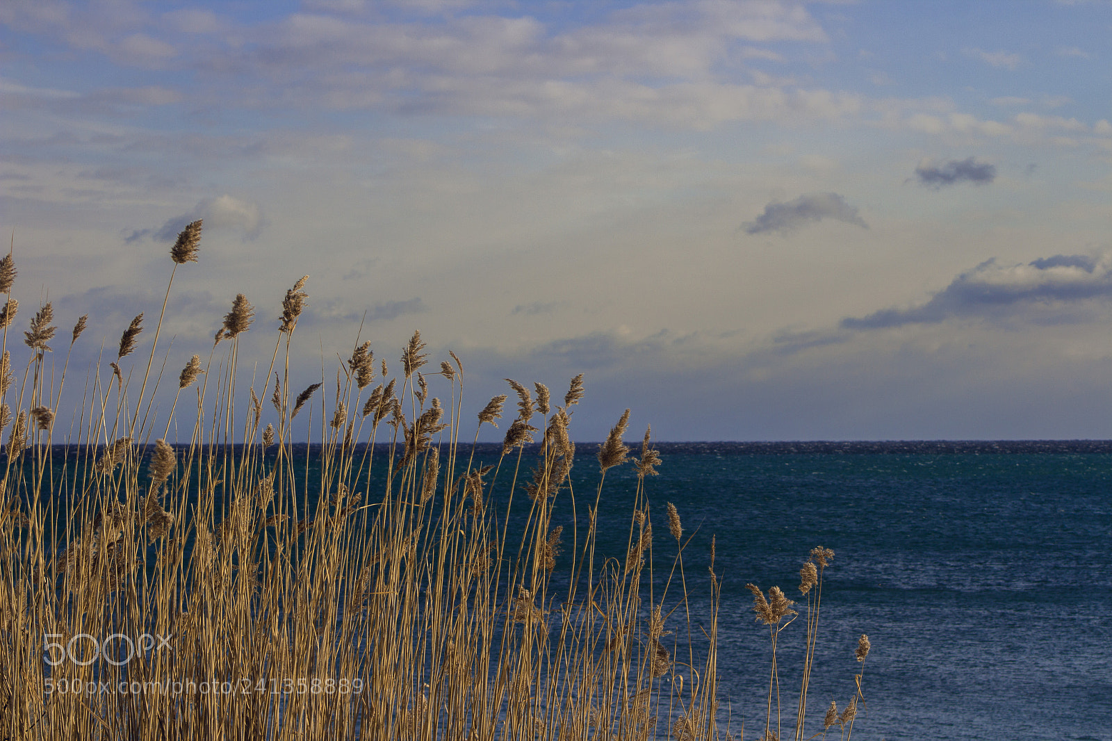Canon EOS 1200D (EOS Rebel T5 / EOS Kiss X70 / EOS Hi) sample photo. Lake ontario in winter photography