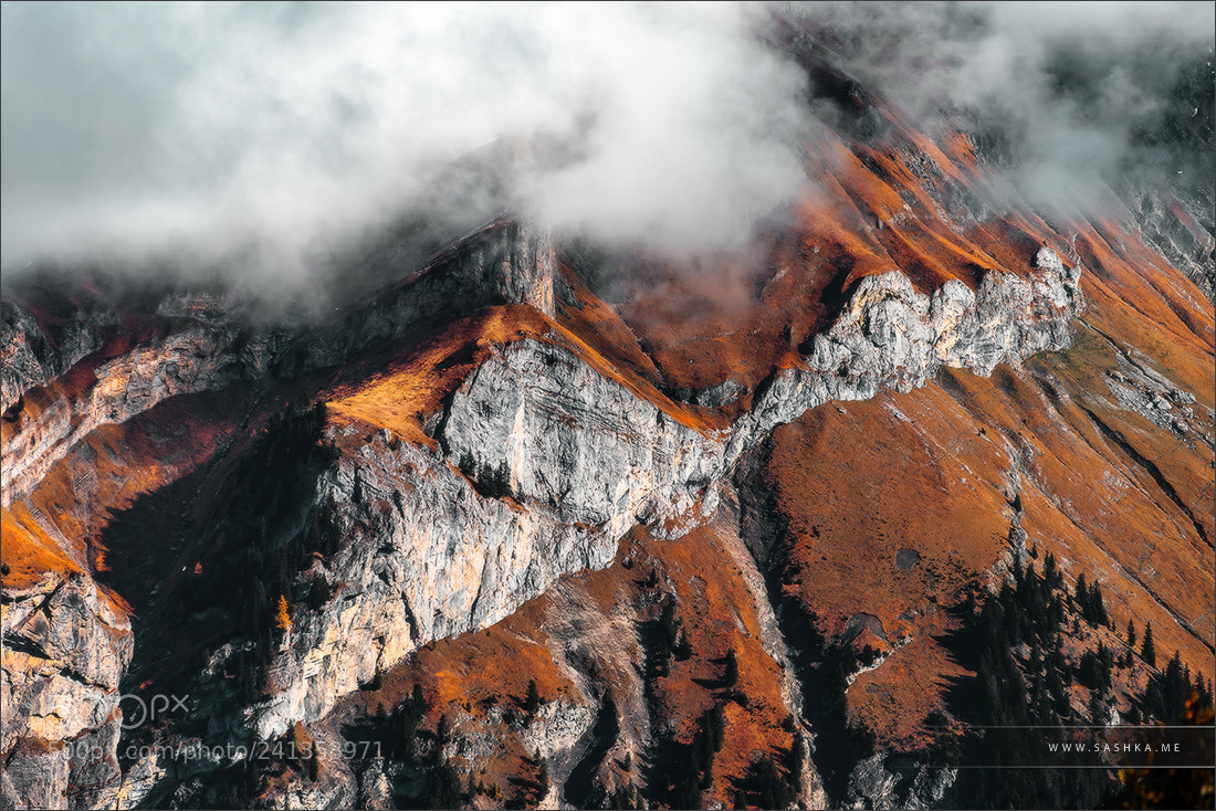Sony Alpha a99 sample photo. Natural environment view. alps photography