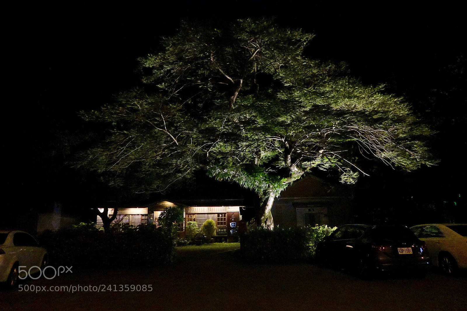 Sony Cyber-shot DSC-RX10 III sample photo. Untitled photography