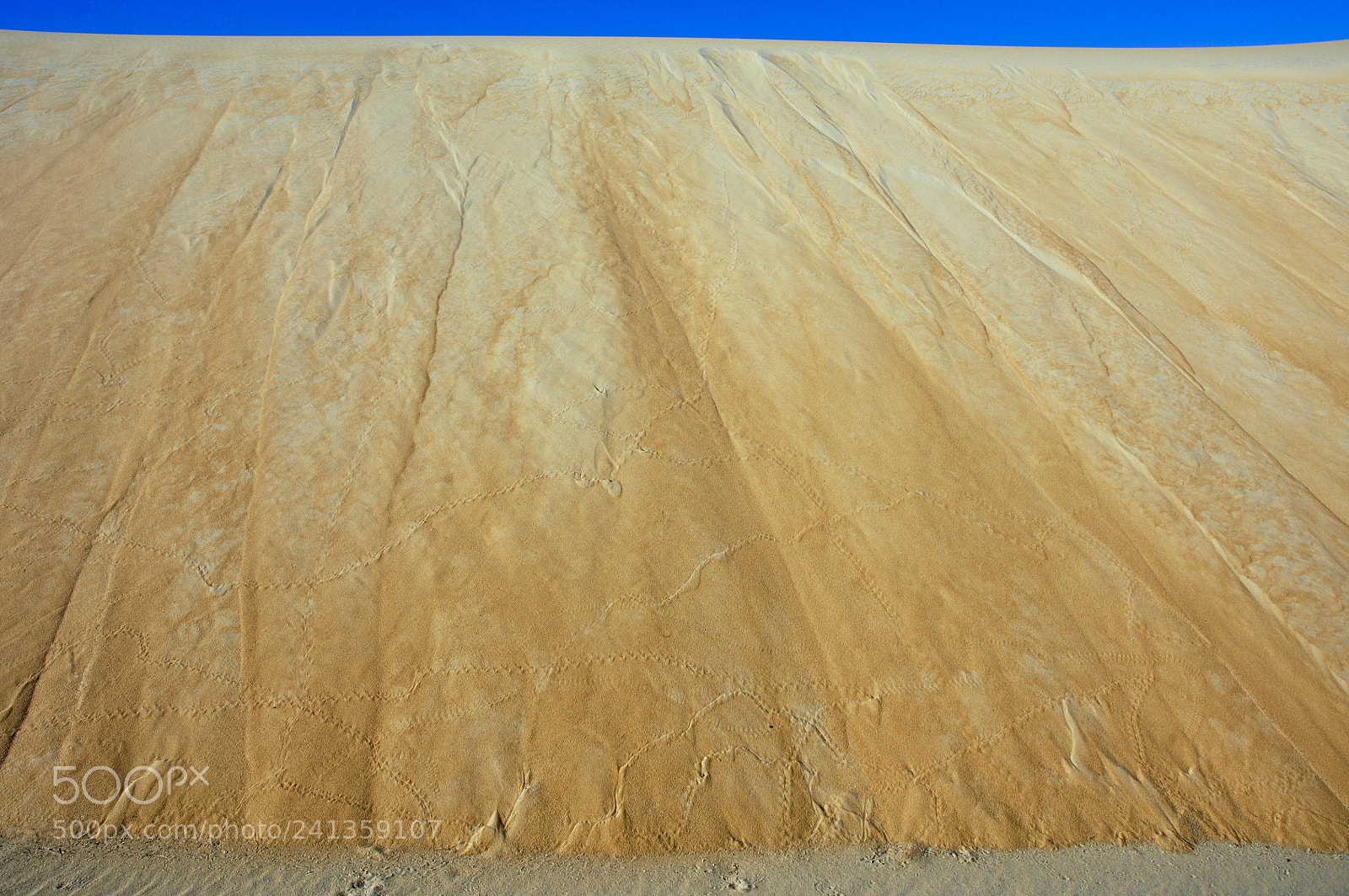 Nikon D2X sample photo. Sand dunes of rub photography