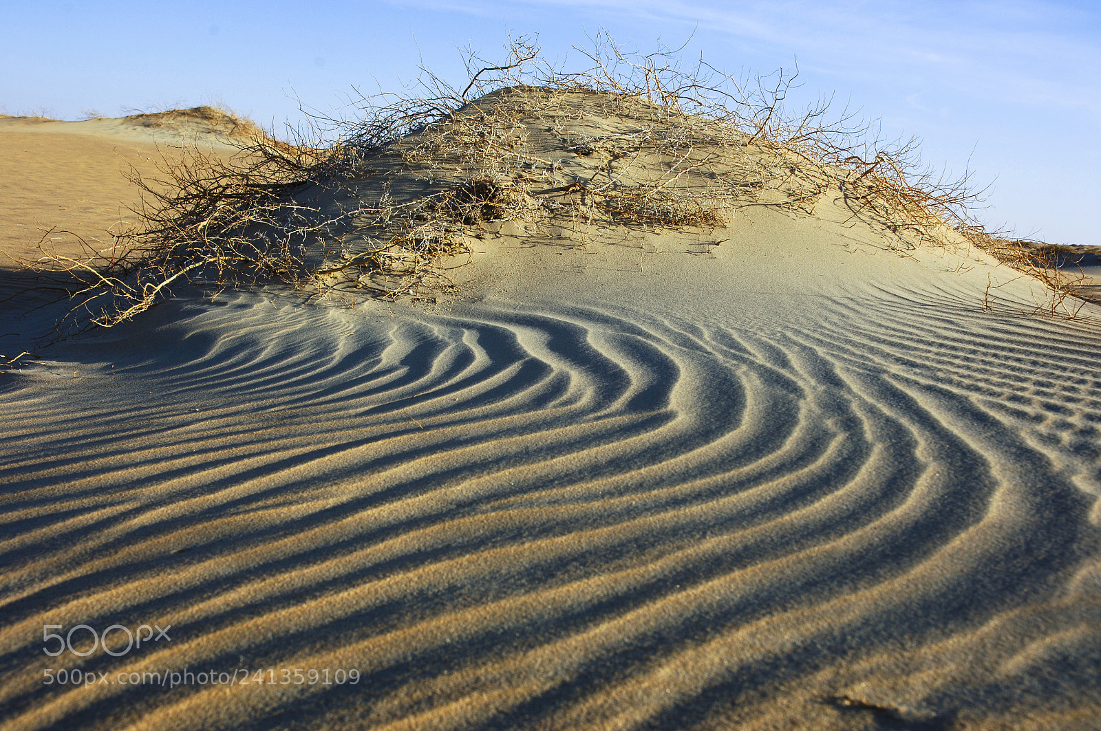 Nikon D2X sample photo. Waves of sand and photography