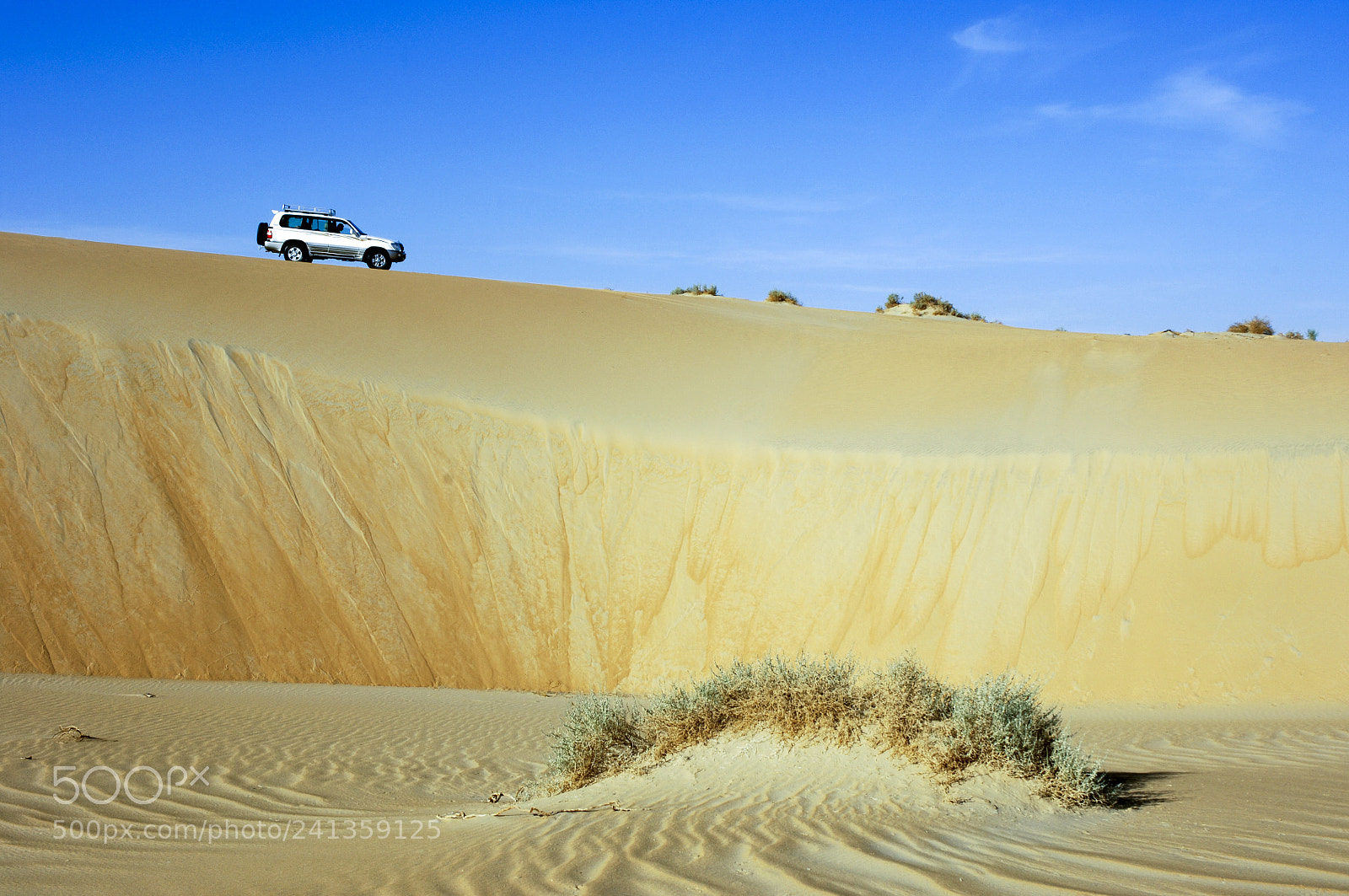 Nikon D2X sample photo. An suv car on photography