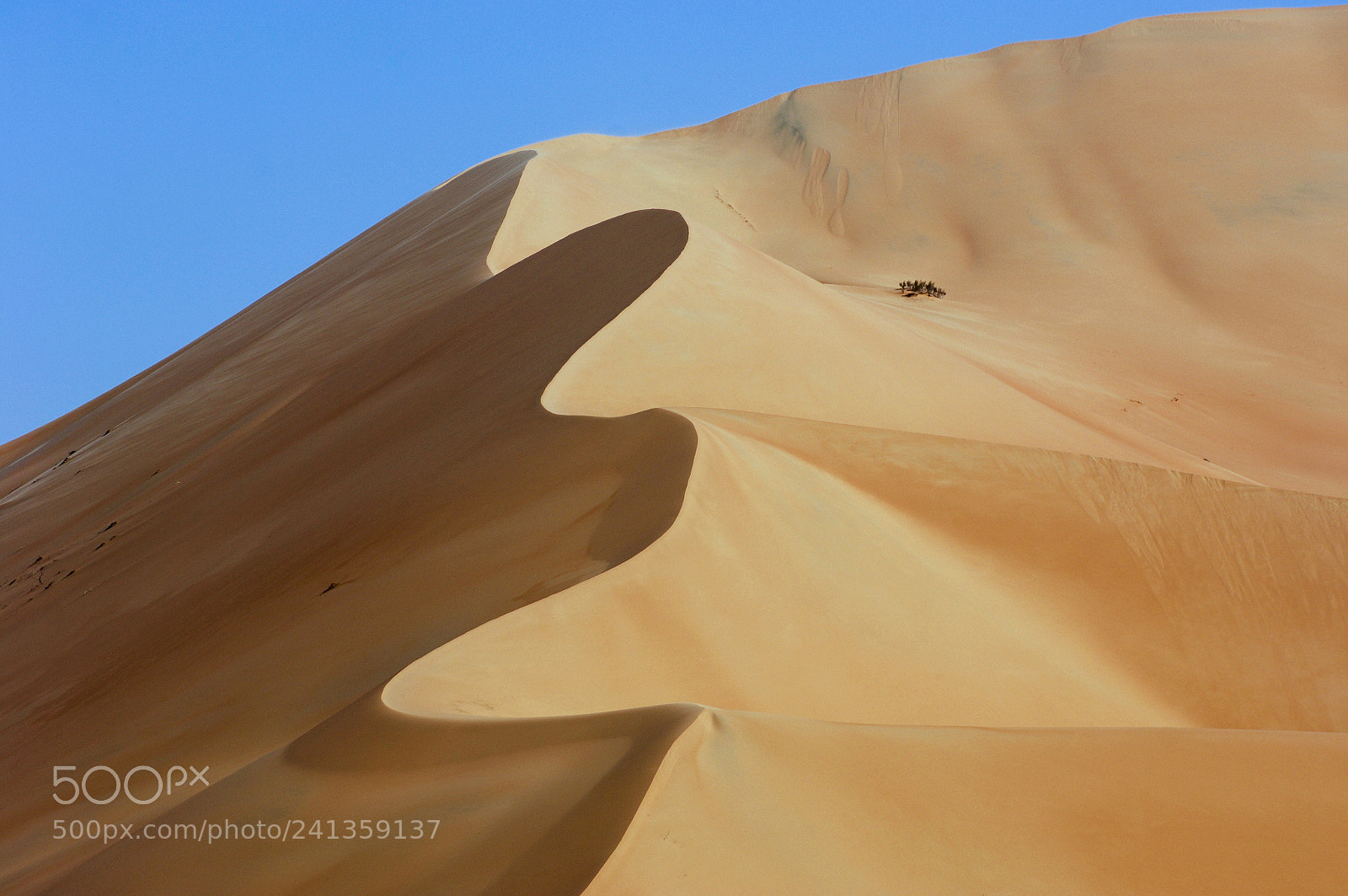 Nikon D2X sample photo. Sand dunes of rub photography