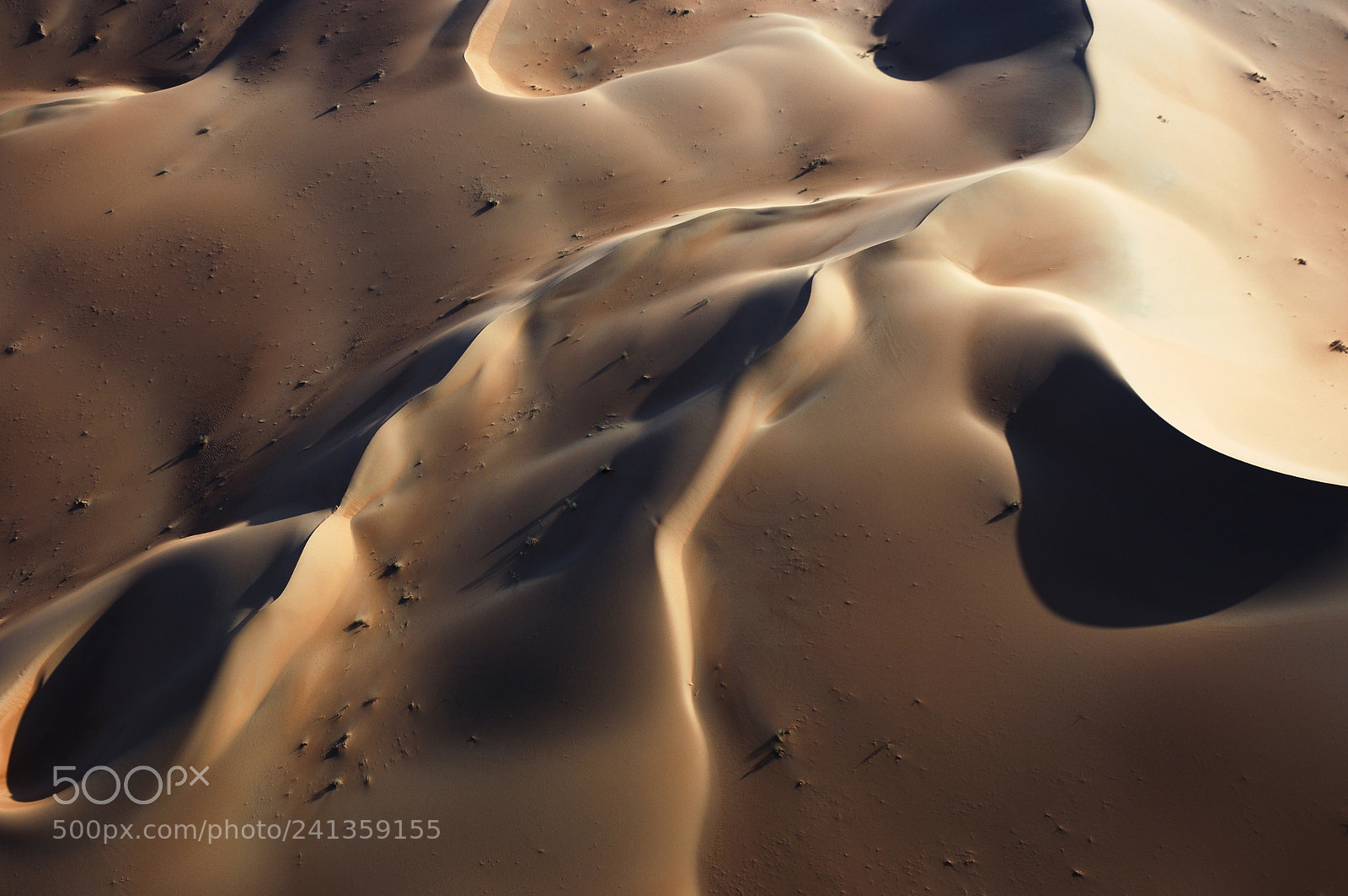 Nikon D2X sample photo. Aerial view of sand photography