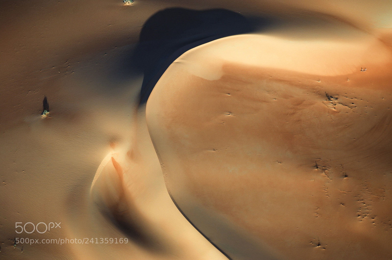 Nikon D2X sample photo. Aerial view of sand photography