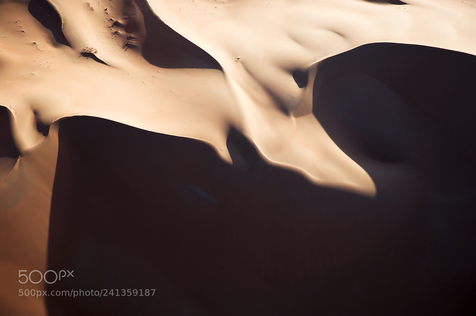Nikon D2X sample photo. Aerial view of sand photography