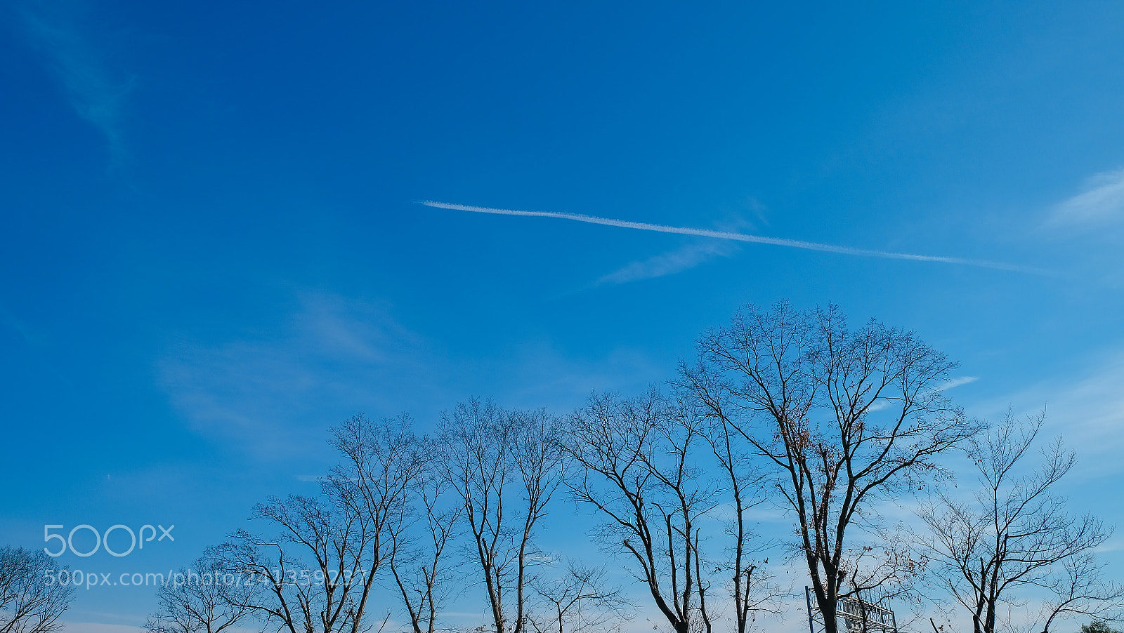 Fujifilm X-T10 sample photo. Dscf photography