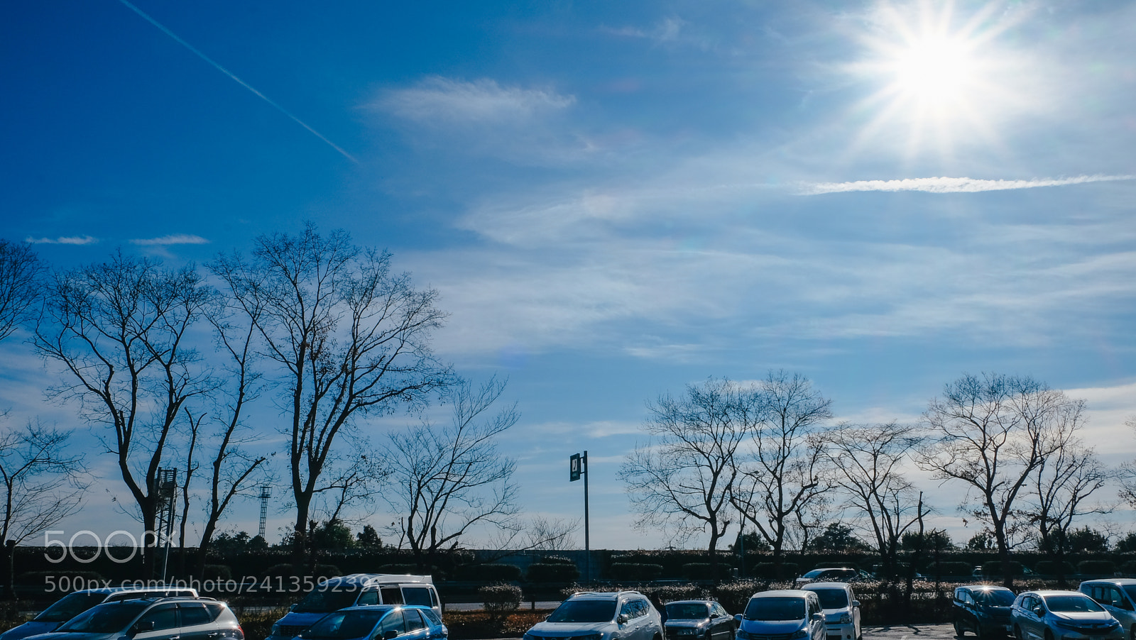 Fujifilm X-T10 sample photo. Dscf photography