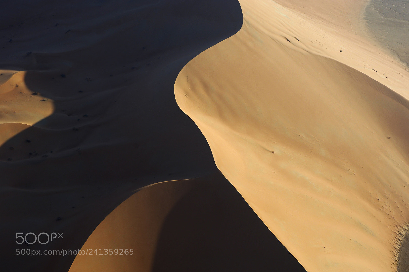 Nikon D2X sample photo. Aerial view of sand photography