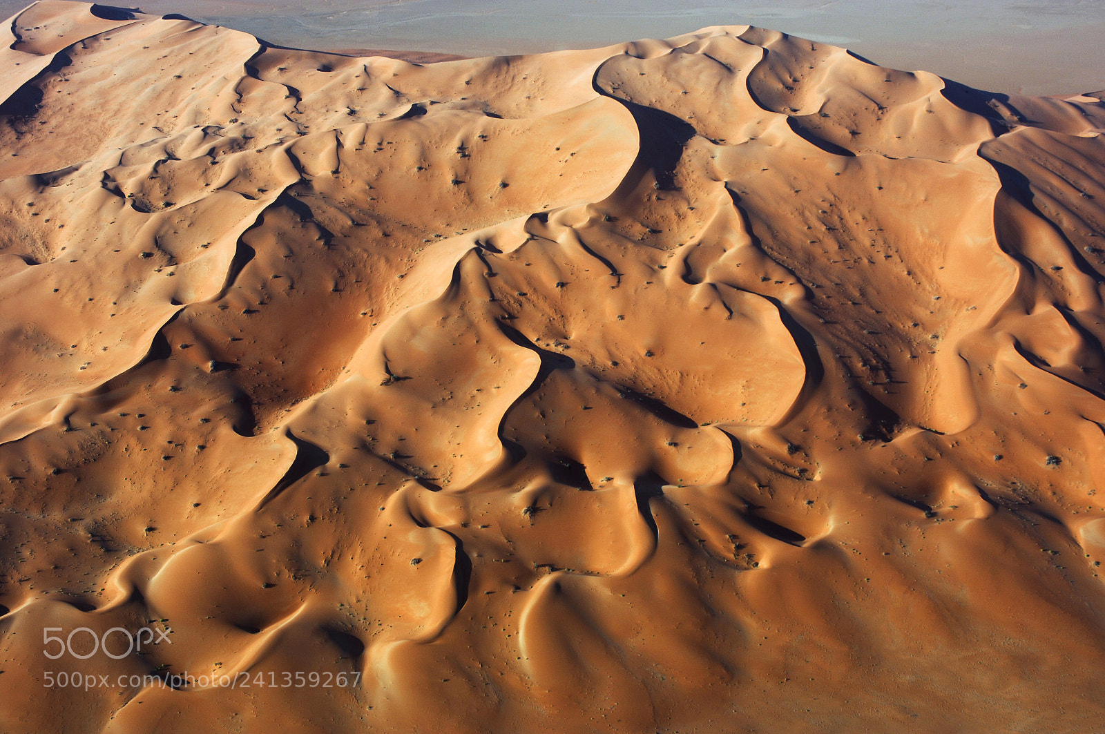 Nikon D2X sample photo. Aerial view of sand photography